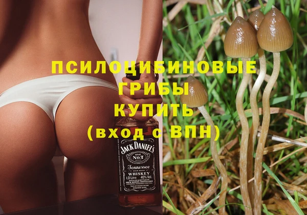 ГАЛЛЮЦИНОГЕННЫЕ ГРИБЫ Армянск