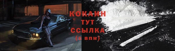 молекула духа Арсеньев