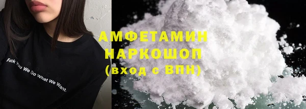 молекула духа Арсеньев