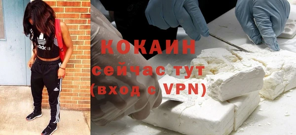 молекула духа Арсеньев