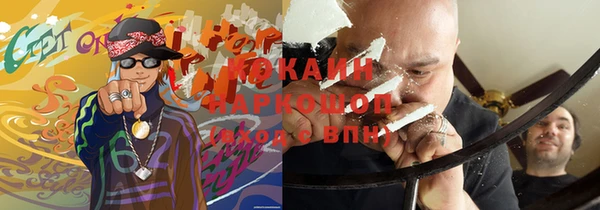 молекула духа Арсеньев